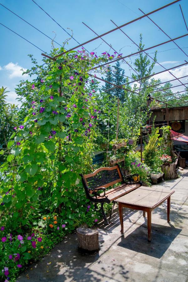 4 Rooms Sighnaghi Εξωτερικό φωτογραφία