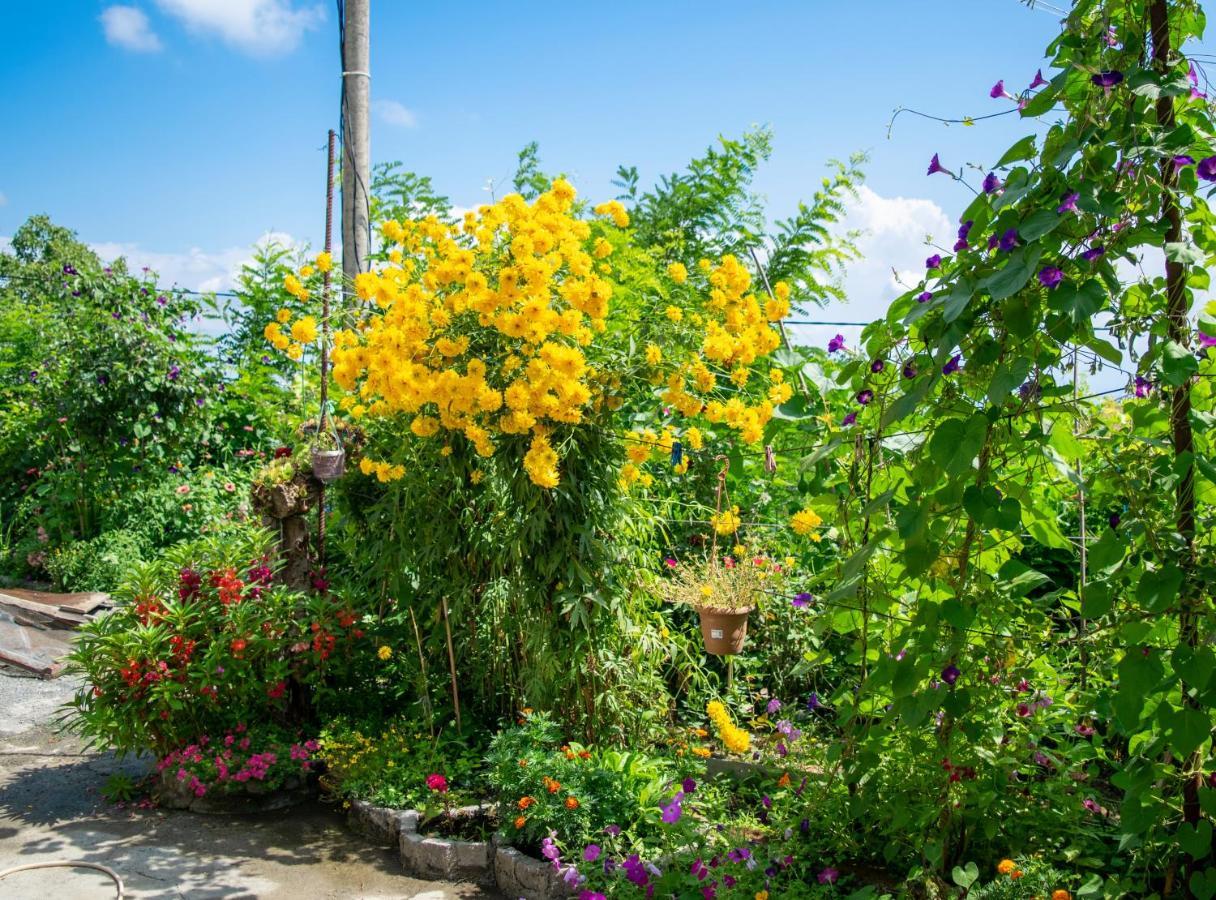 4 Rooms Sighnaghi Εξωτερικό φωτογραφία