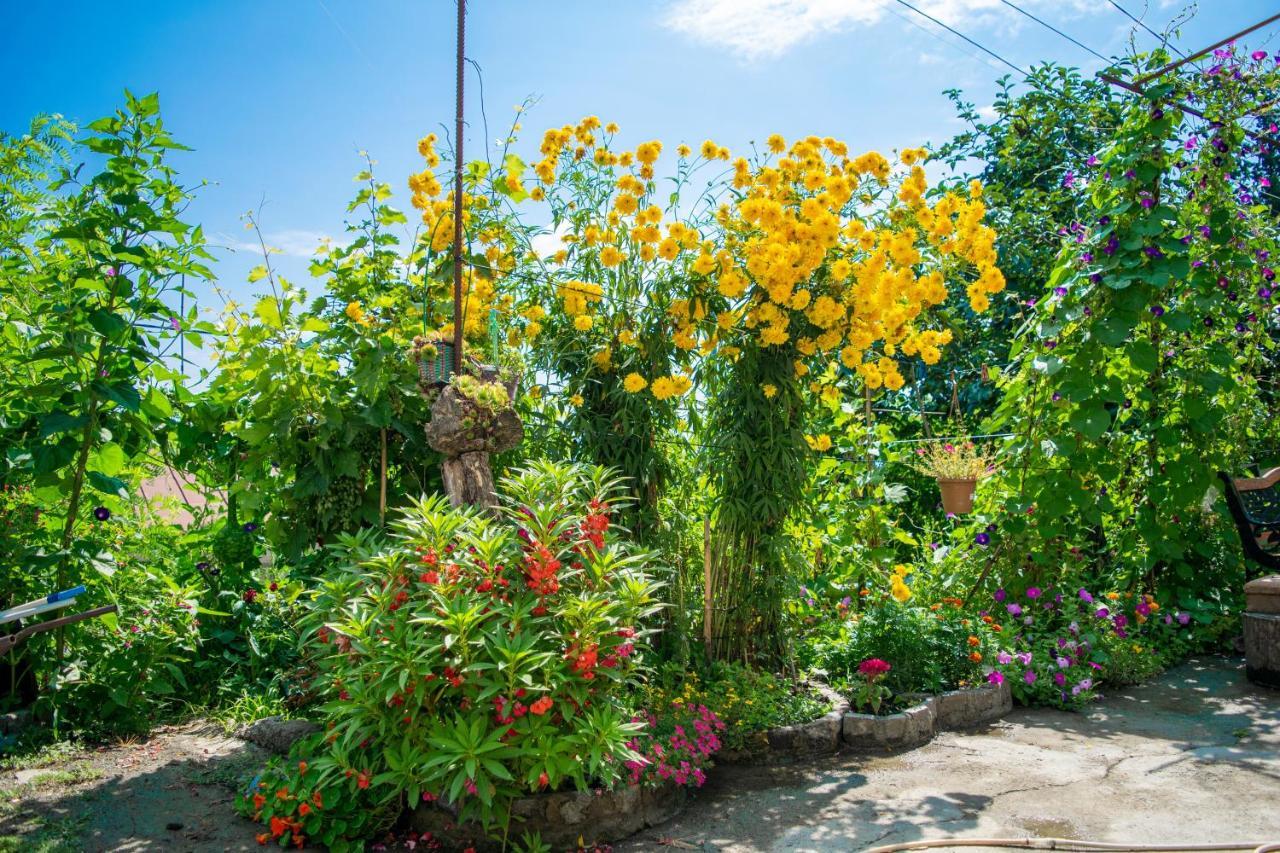 4 Rooms Sighnaghi Εξωτερικό φωτογραφία